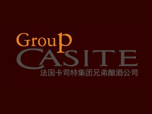(gu)CasiteF(tun)ֵᄾ޹˾