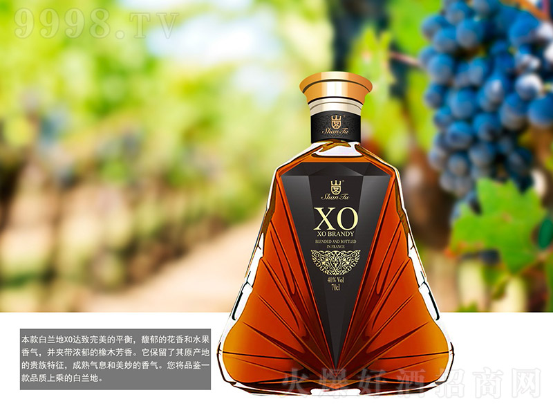 ɽDmXO40 700ml