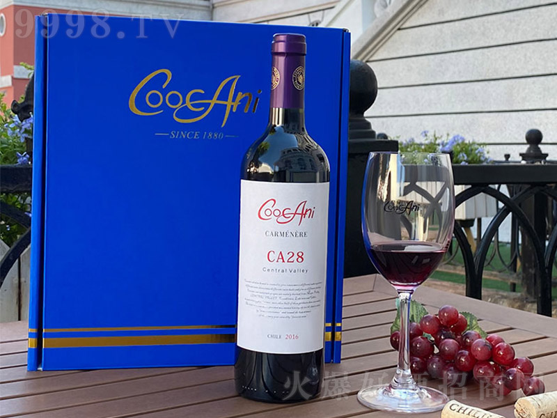 찬CA28Ѿơ13 750ml