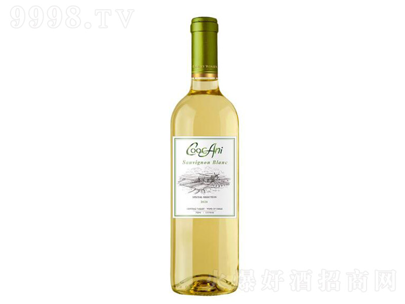 찬L˼Ѿơ13.5 750ml