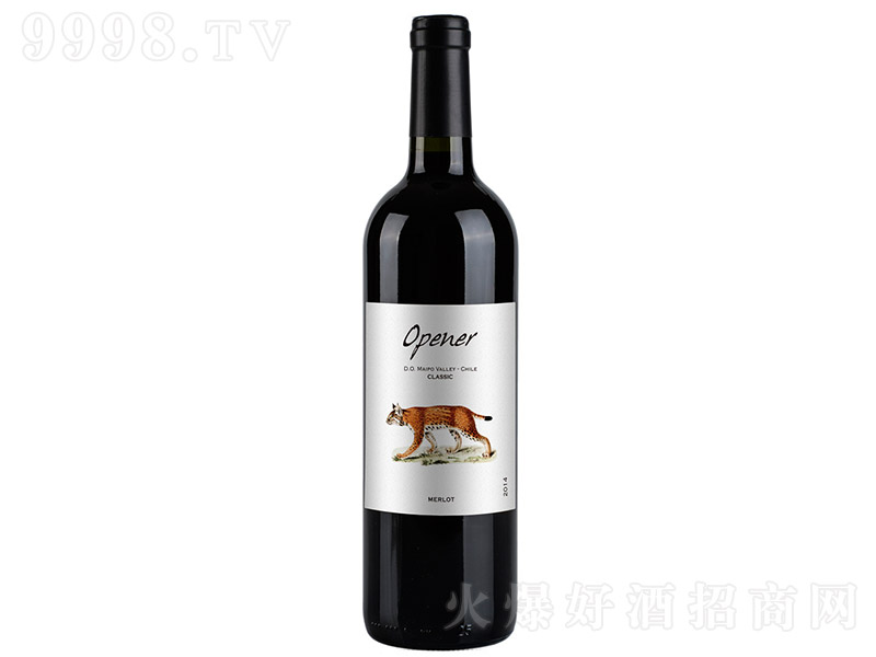 _÷ɼtѾơ13 750ml