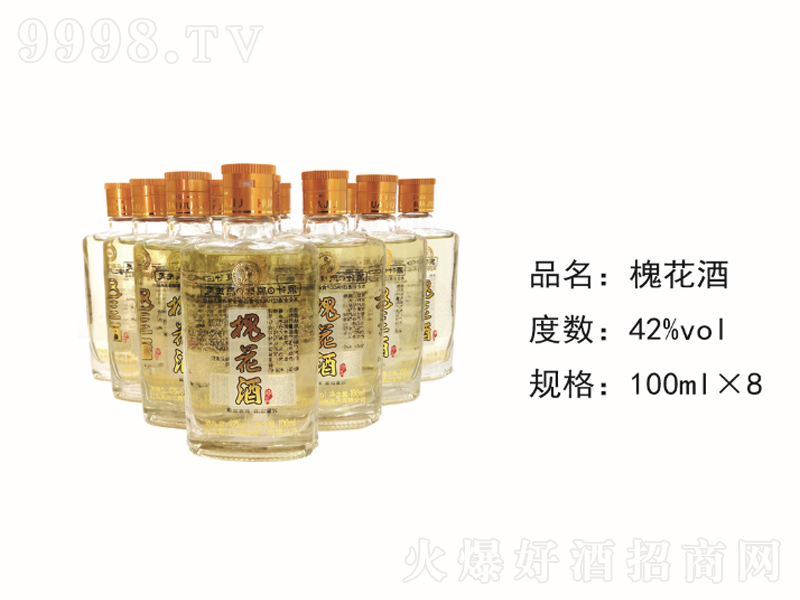 SB(yng)ơ42100ml