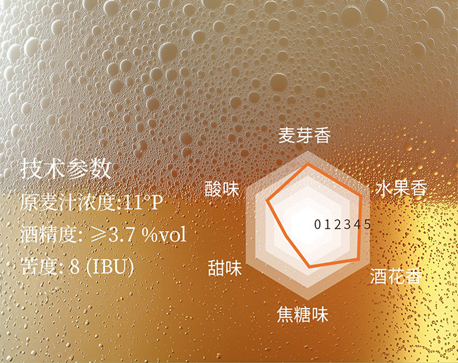 邂逅江南龍井精釀啤酒【11°P 390mL】